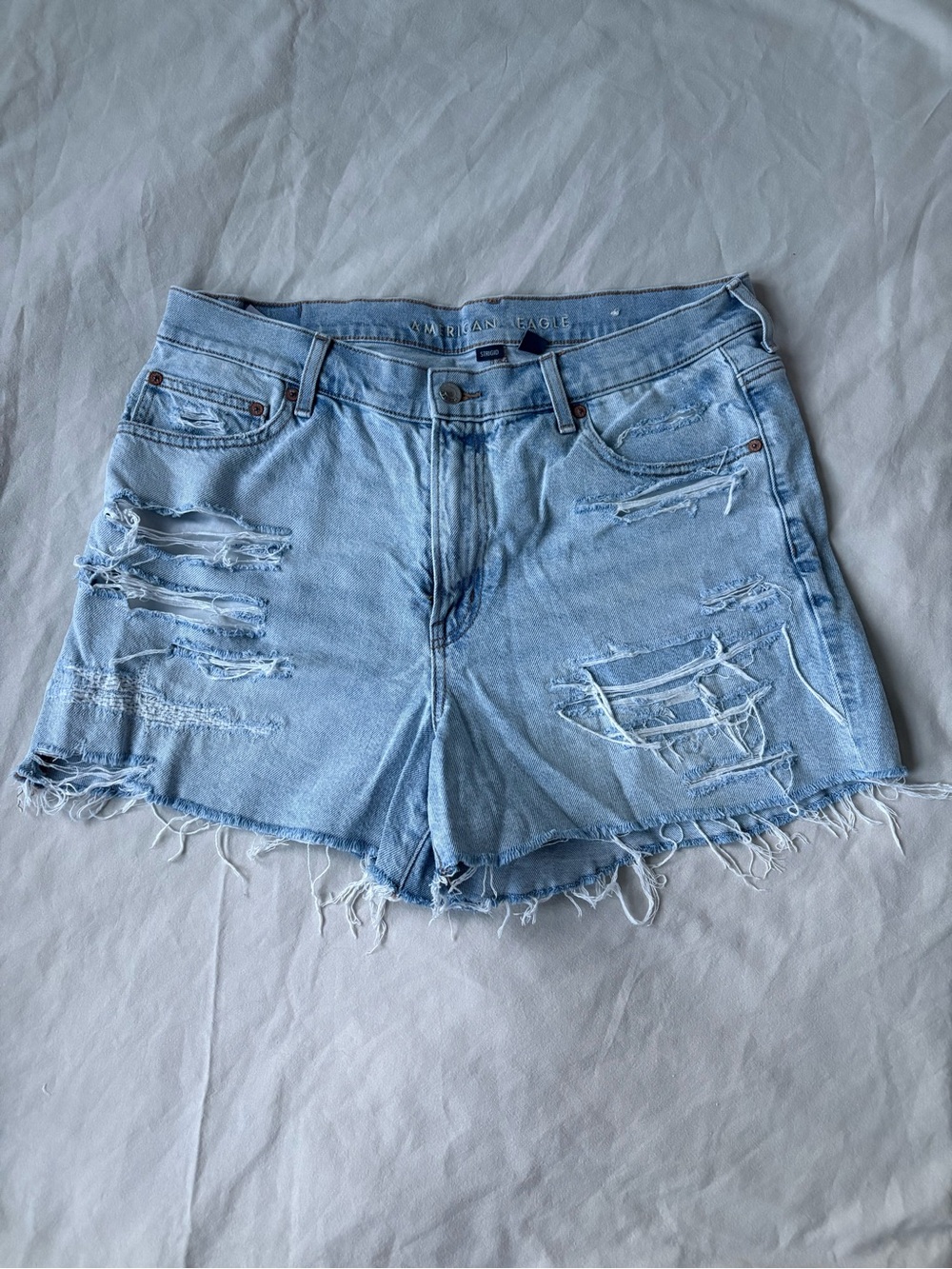 American Eagle Outfitters Light Blue Ripped Denim Shorts